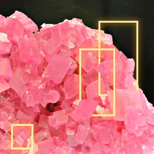 RoSE QU∆RZ