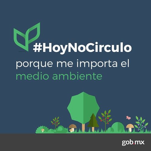 El adelgazamiento las películas i