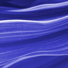 Flowing Through Time