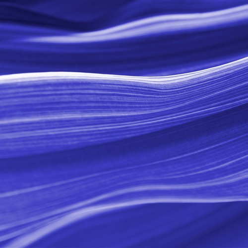 Flowing Through Time