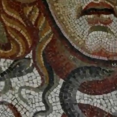 GYPSY ROSE - When Medusa Looks