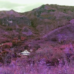 Ejercicio_ bosque seco tropical