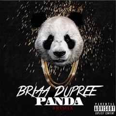 Briaa Dupree Panda