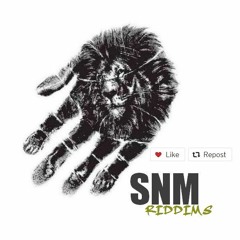Chris Martin - You Hold Me [Love Salute Riddim]