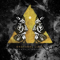 09.Groparul Liric - Alt Nivel