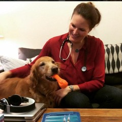 Dr. Taylor Truitt, DVM of The Vet Set on why Pet Oral Care is so Important