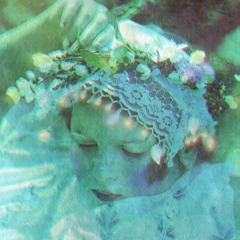 dolphin web