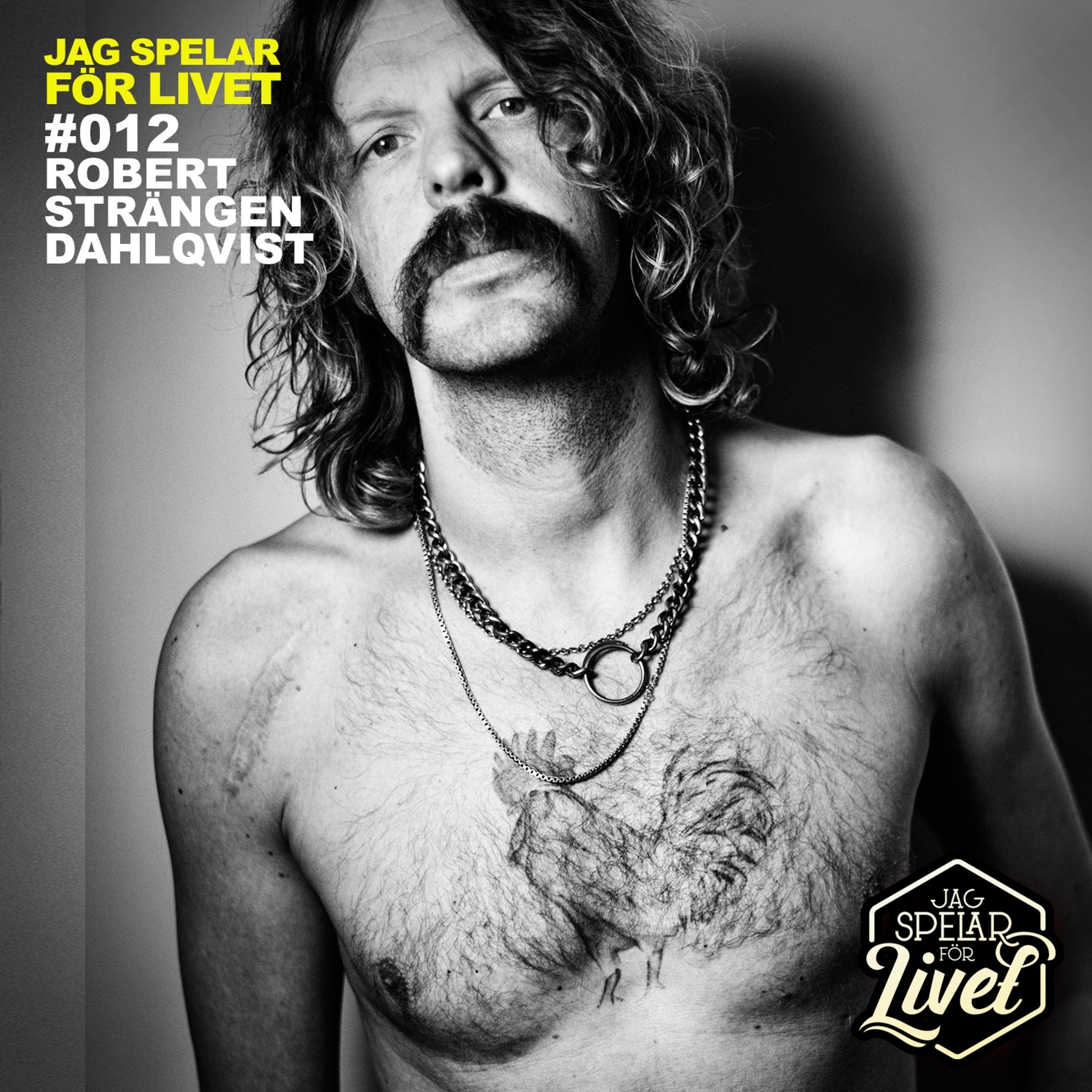 Jag Spelar för Livet - Musiker om Musik