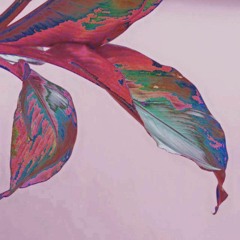 My music