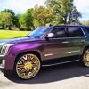 Jamaica Mafia!