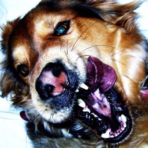 coma cinema - her sinking sun