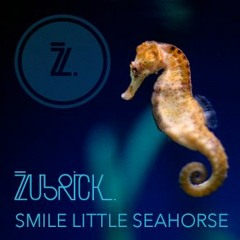 Smile Little Seahorse