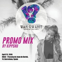 Kippshu Promo Mix - Wah Gwan!? BCN