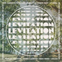 LEVITATION 2016 - SUNDAY, MAY 1 mix by Al Lover