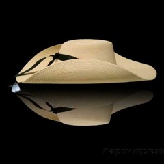 TIERRA CALIENTE MIX (2014 )