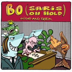 Bo (Saris on Hold) - Hide and Seek