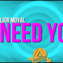 Lior Moyal - Need You (Original Mix)