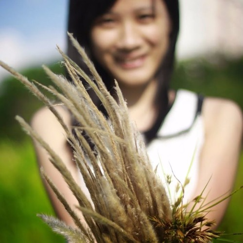 Mash Up 30 Bản Nhạc Việt - Hồ Minh Triết - Quang Hùng