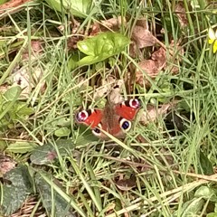 I Tell You Something