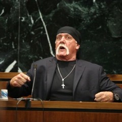 Hulk Hogan N - Word Rant
