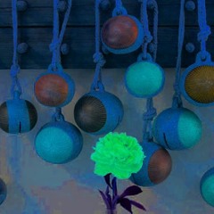 Bells Tolling (with Miniature Zebra)