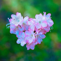 aXaleas/Eternal Sunshine (VIDEO IN DESCRIPTION)