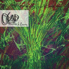 OCAD Double Vinyl Preview : Vedran Komm - Divelism