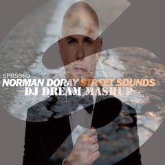 Norman Doray Vs Pitbull - I Know You Want Street Sound(DJ DERRi Mashup)