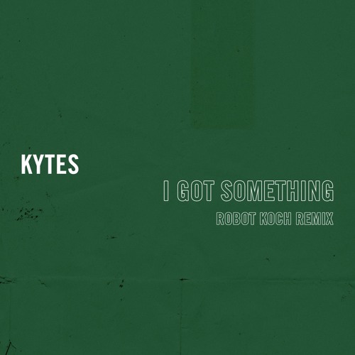I Got Something (Robot Koch Remix)