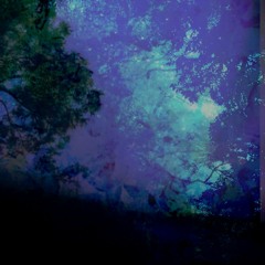 james casey - Midnight Fog