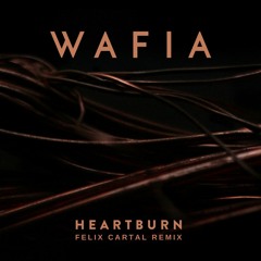 Wafia - Heartburn (Felix Cartal Remix)