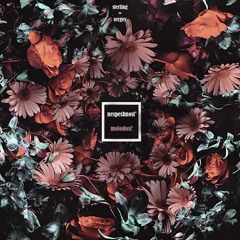 Sergey Sterling - Nespeshnost'. Molodost'