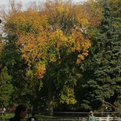 Law Years - In Praise of Ornette