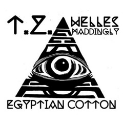 Egyptian Cotton (Freestyle) - T.Z. x Welles Maddingly [Prod. by L i n u s]