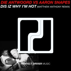 Die Antwoord Vs Aaron Snapes - Dis Iz Why I'm Hot (Matthew Anthony Boot) FREE DOWNLOAD