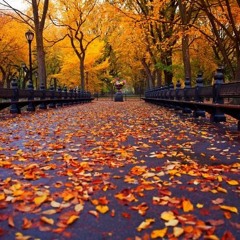 Autumn In New York