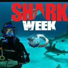 Shark week-Savage Corleone ft. Al Holla, Dimes