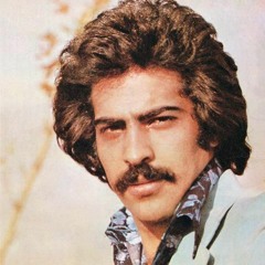 مرتضی برجسته _ کوله بار