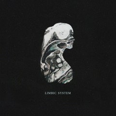 Limbic System (feat. JMR)