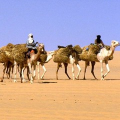 يستاهل الجايزه ماجد ومطرانه جديد شيلة الفوز لمنقية الحابوط اداء العذب
