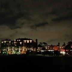 I heard the lonely break in a crowded room - A poetic journal by Ladessa Sullivan / @CandyAcidReign