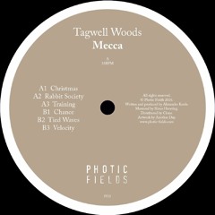 Photic Fields | Releases