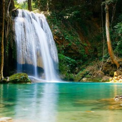 De saines méditations