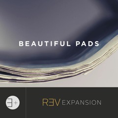 REV Expansion Pack - Beautiful Pads
