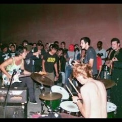 THIS HOUSE PARTY SUCKS- FIDLAR