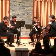 You'll Always Be Surrounded by Crying Infants on a Long-Haul Flight | String Quartet