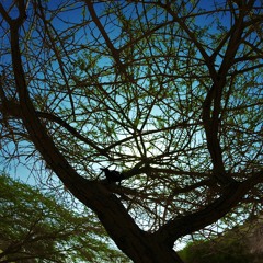 POMIX 002 - Mood Swings