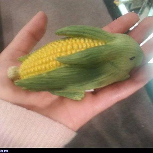 BUNY RAVE - 4T TH3 R4V3 W N0 $