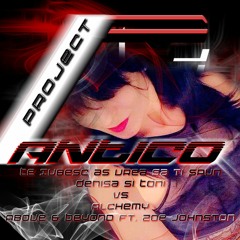 Te Iubesc As Vrea Sa Ti Spun vs Alchemy