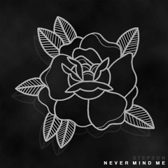 Stepson - Never Mind Me